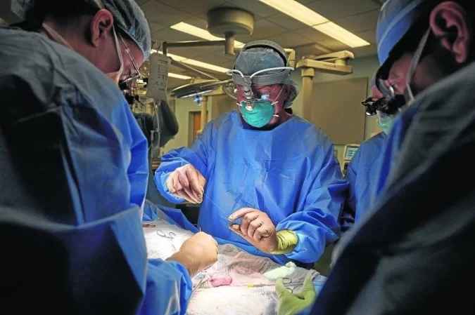 Menino que nasceu com dois pênis passa por cirurgia para retirar um - Joe Carrota for NYU Langone Health