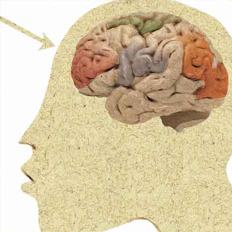 Proteína ligada ao Alzheimer favorece disseminação do melanoma no cérebro 