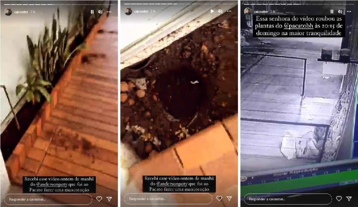 Mulher é flagrada por câmeras roubando plantas de restaurante, no Lourdes - Reprodução/Instagram