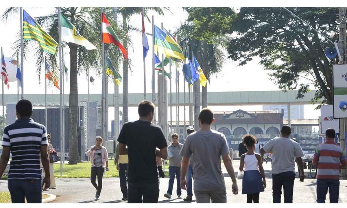 ExpoZebu 2022 deve movimentar em torno de R$ 300 milhões, diz associação - ABCZ/Divulgação