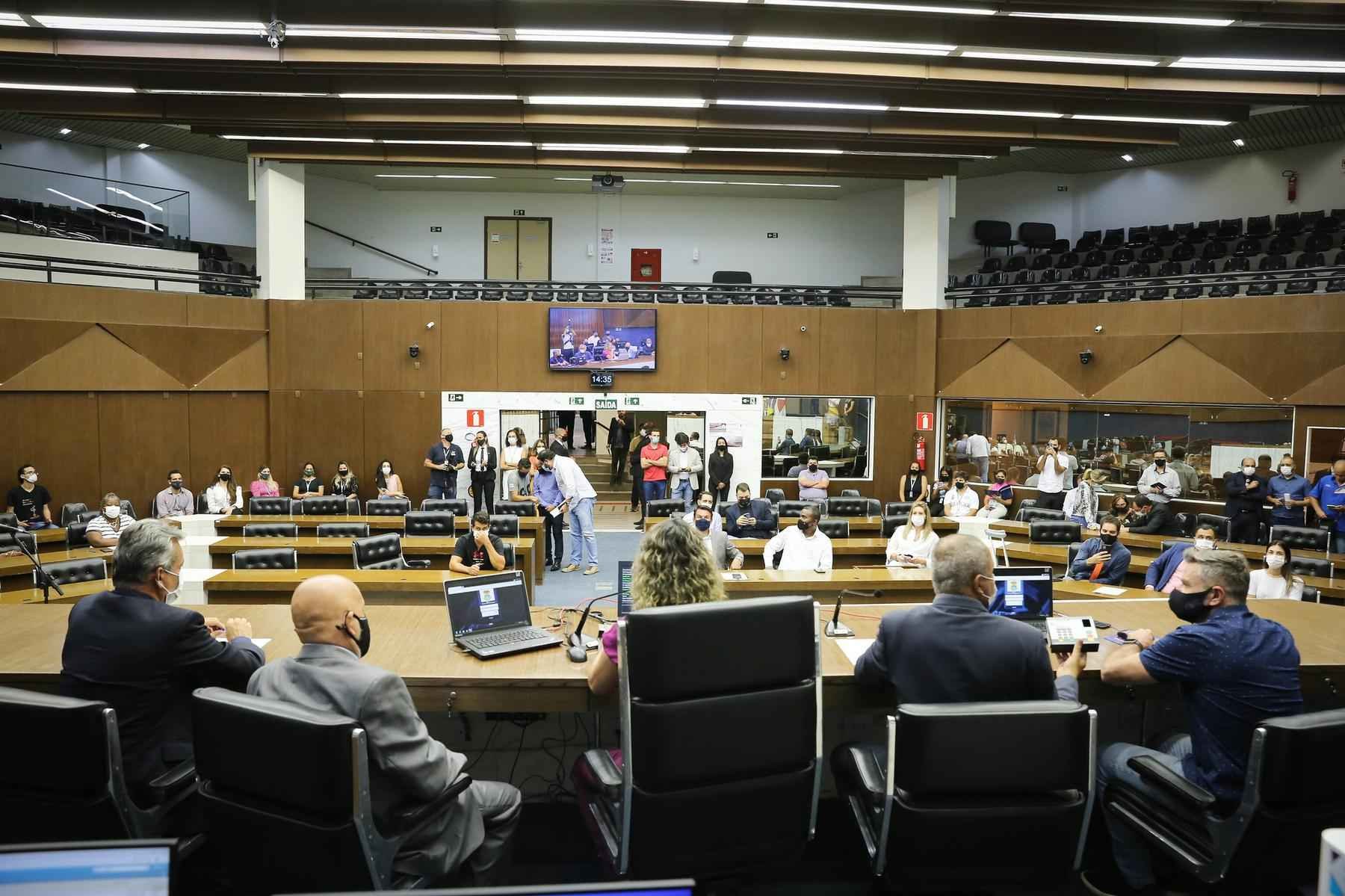 Câmara Municipal de BH proíbe tatuagens e piercings em animais - Abraão Bruck / CMBH