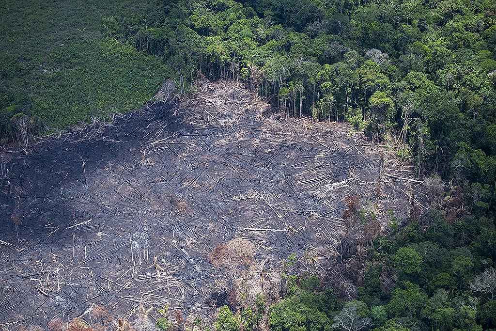 Desmatamento na Amazônia bate novo recorde em abril - Daniel Beltrá / Greenpeace