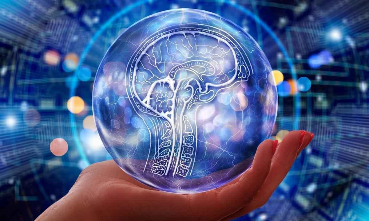 QI acima da média: o universo dos superdotados - Gerd Altmann/Pixabay
