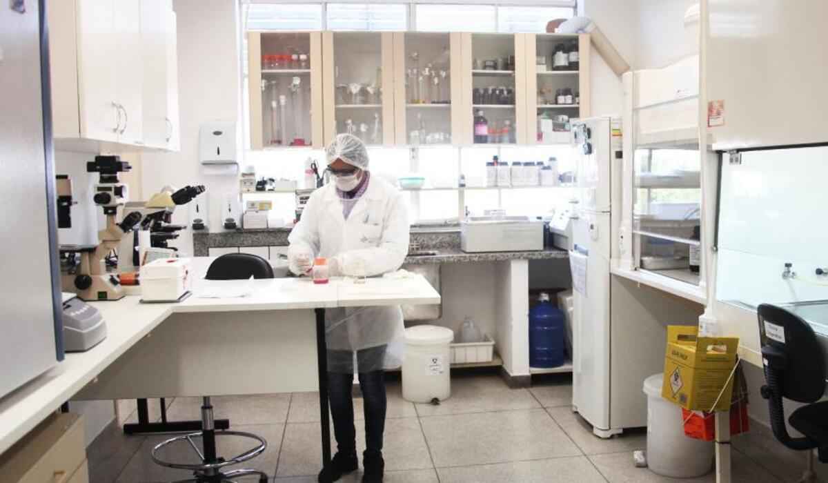 UFMG: mortes por COVID-19 no Brasil foram subnotificadas em 18% - Crédito: Carol Morena/CCS Medicina/UFMG
