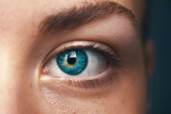 Cientistas conseguem reativar células nervosas responsáveis pela visão - Amanda Dalbjorn/Unsplash