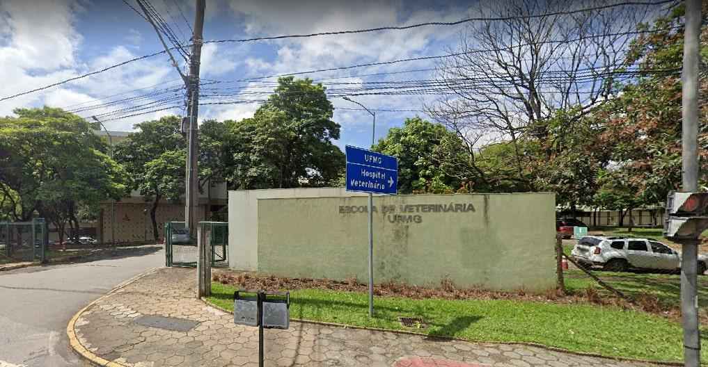 'Meu orientador virou meu pior pesadelo'; alunos da UFMG denunciam abusos - Google Street View