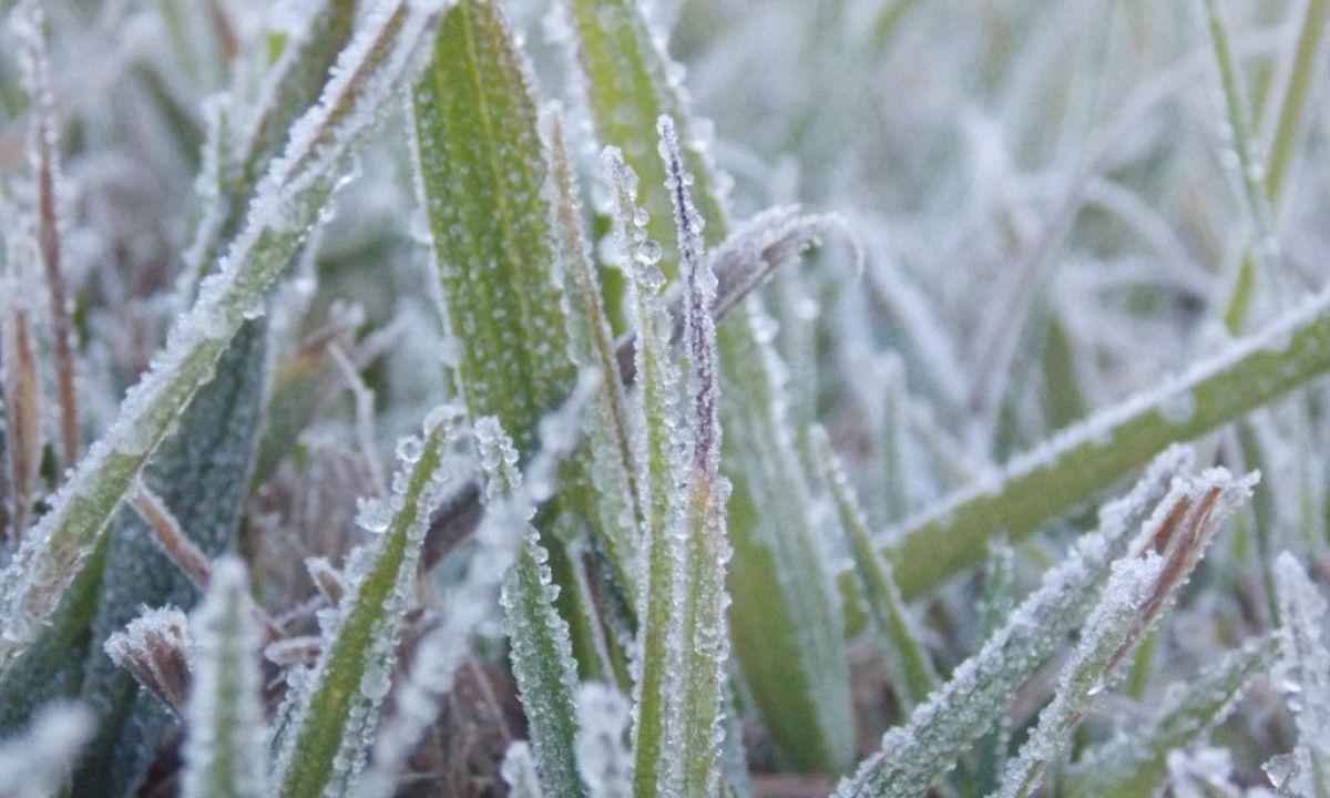 Sul de Minas: termômetros devem marcar abaixo de 0ºC ao longo da semana - Hotel Cabeca de Boi/Divulgacao (30/06/2021)