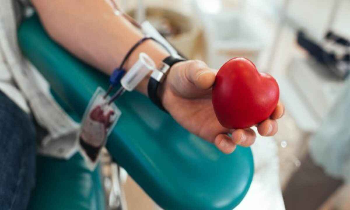 Doação de sangue: Hemominas promove caminhada no Parque Municipal de BH - Pixabay/Divulgação