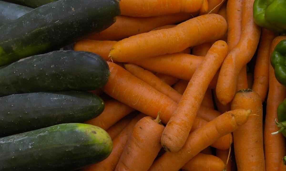 Minas ocupa 2ª posição no ranking de tráfico de agrotóxicos no Brasil - Gladyston Rodrigues/EM