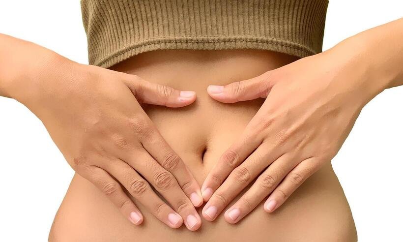 Maio Roxo faz alerta para as doenças inflamatórias intestinais - Alicia Harper/Pixabay 