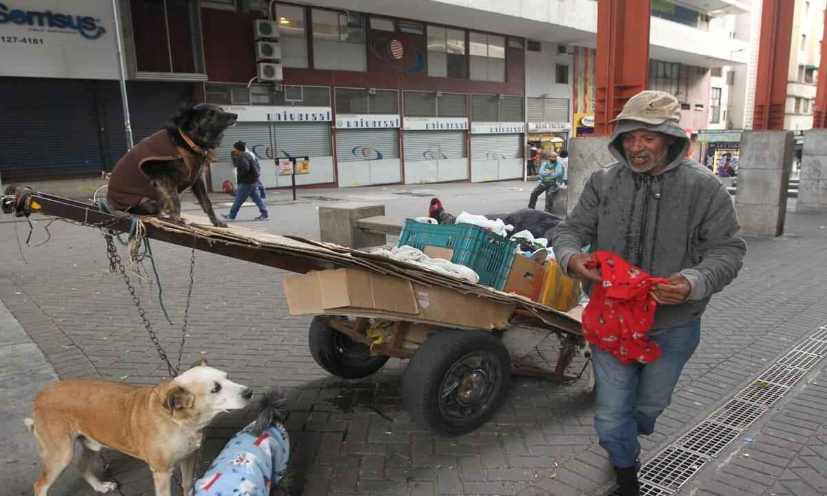 Frio em BH: homem em situação de rua agasalha cachorros - Jair Amaral/EM/D.A.Press