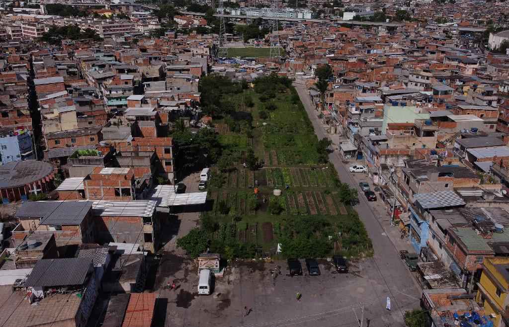 Hortas urbanas do Rio mostram que comida orgânica não é exclusividade das elites - Carlos Fabal / AFP