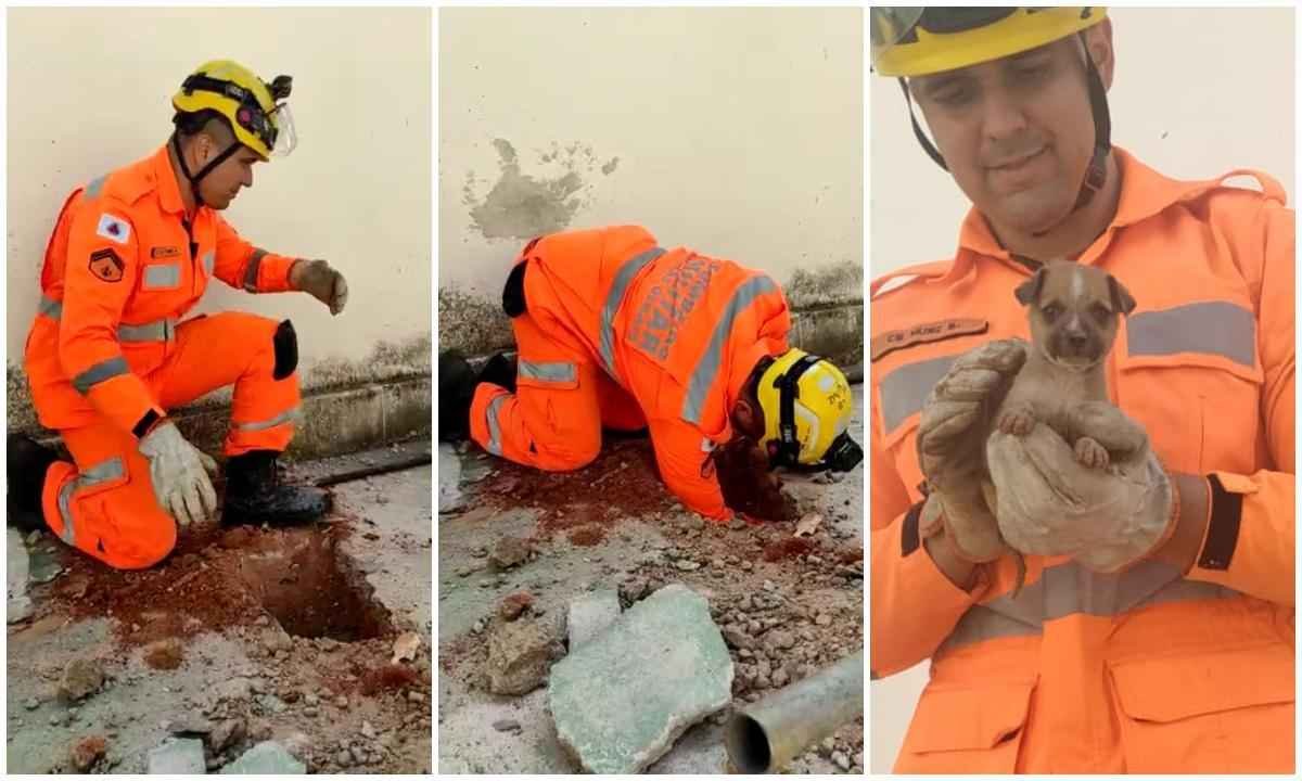 Vídeo: Corpo de Bombeiros salva cachorro preso em tubulação de água em MG - Corpo de Bombeiros/Divulgação