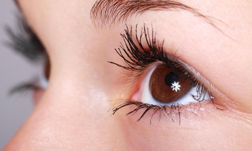 Glaucoma: exames para diagnóstico de doença que causa cegueira aumentam - PublicDomainPictures por Pixabay 