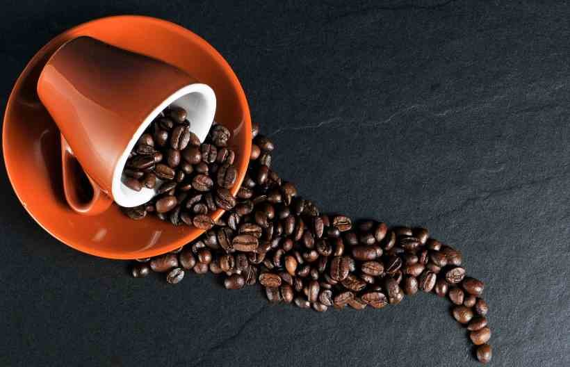 Tomar café pode diminuir em mais de 30% o risco de morte - Christoph/Pixabay 