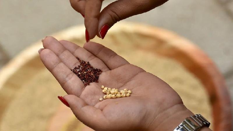 Dieta vegana pode ser segura para crianças? - Getty Images
