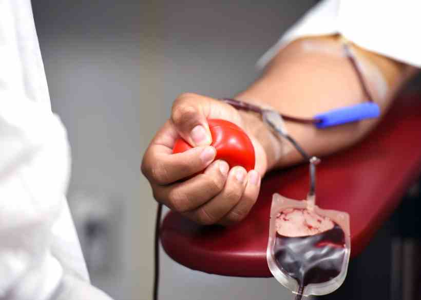 Doações de sangue são ainda mais necessárias em períodos frios e feriados - Michelle Gordon/Pixabay
