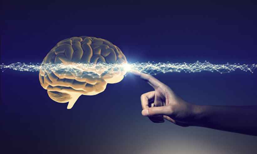 Quem pode realmente ser neurocientista? - Reprodução/Pixabay