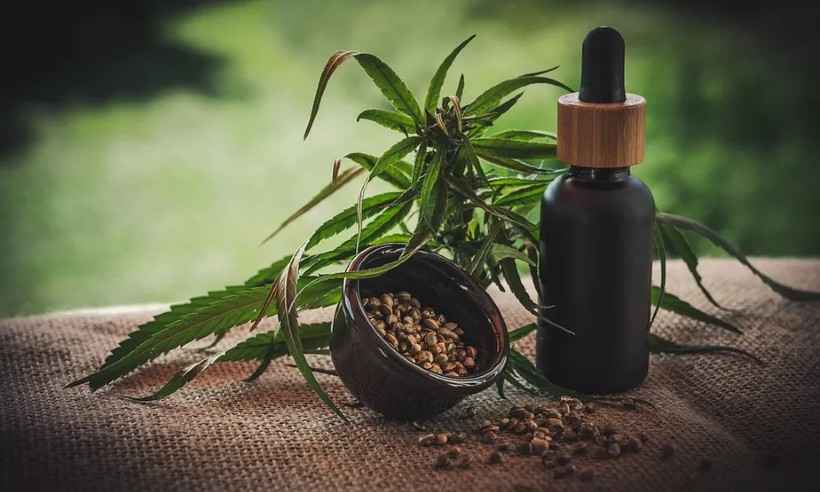 Farmacêutica lança extrato de cannabis para comercialização no Brasil - Reprodução/Pixabay