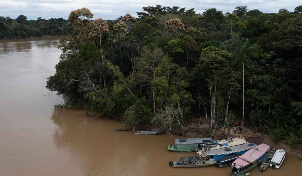 O que se sabe do desaparecimento de jornalista e indigenista na Amazônia - Joao LAET / AFP