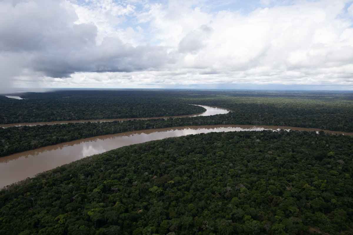 Amazônia cobiçada por suas imensas riquezas naturais há 400 anos - João Laet/AFP