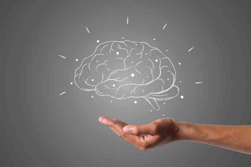 Neuropsicóloga explica que práticas fortalecem inteligência e aprendizado - Pixabay