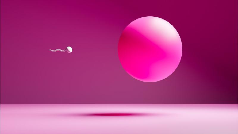 De pílula a anel vaginal: veja os métodos contraceptivos para a mulher - Getty Images