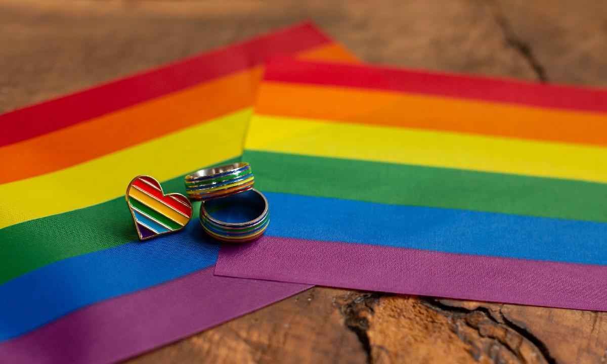 Vereadora de BH polemiza com trabalho escolar de temática LGBTQIA+ - Monstera/Divulgação