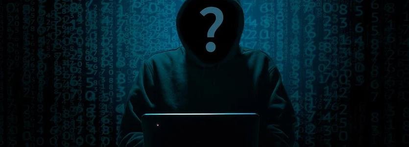 TCU aponta risco à privacidade na coleta de dados pelo governo federal - Pixabay