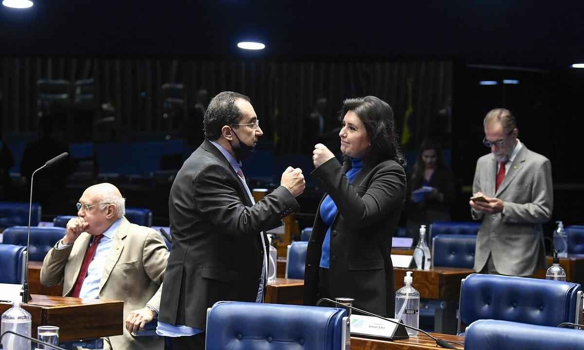Em Plenário, Jorge Kajuru declara voto em Simone Tebet - Roque de Sá/Agência Senado