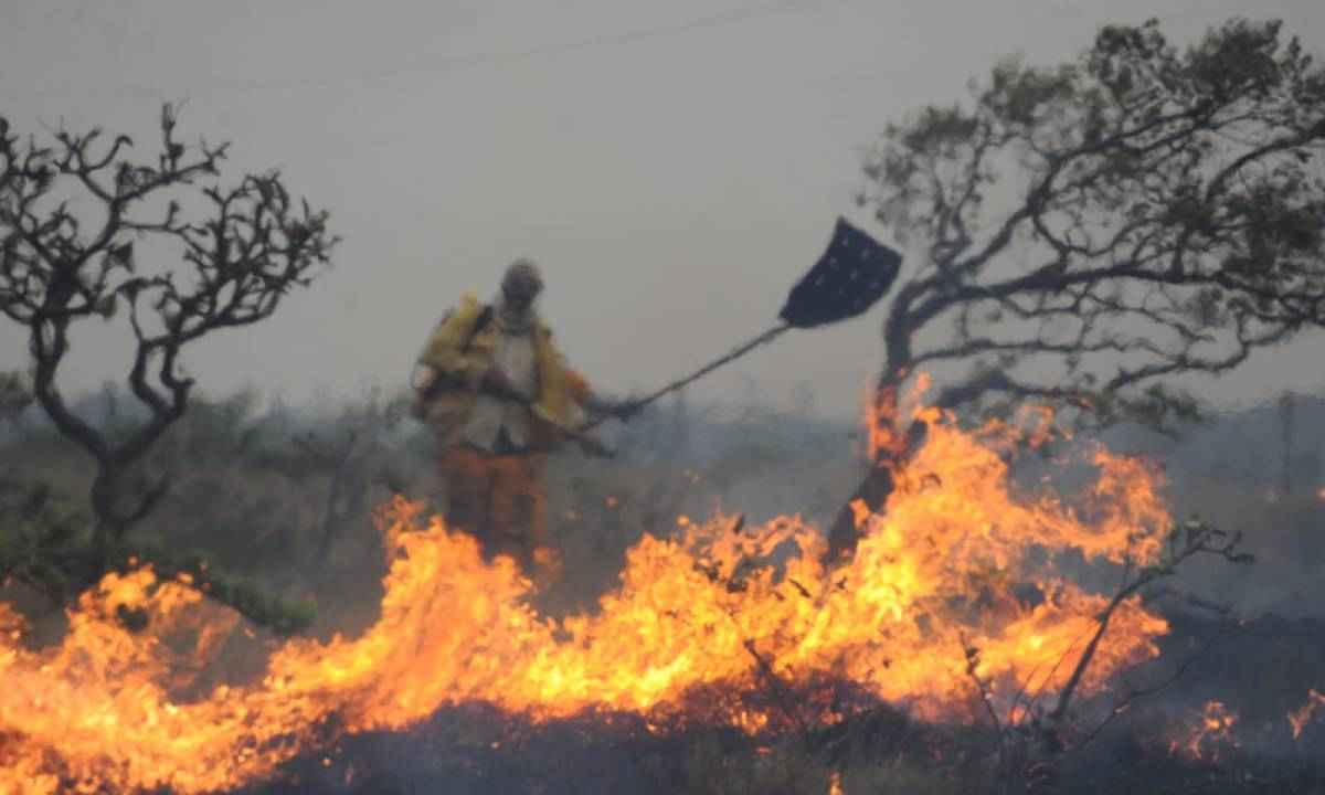 Incêndio na Serra do Cipó: brigadas voluntárias combatem focos - Leandro Couri/EM