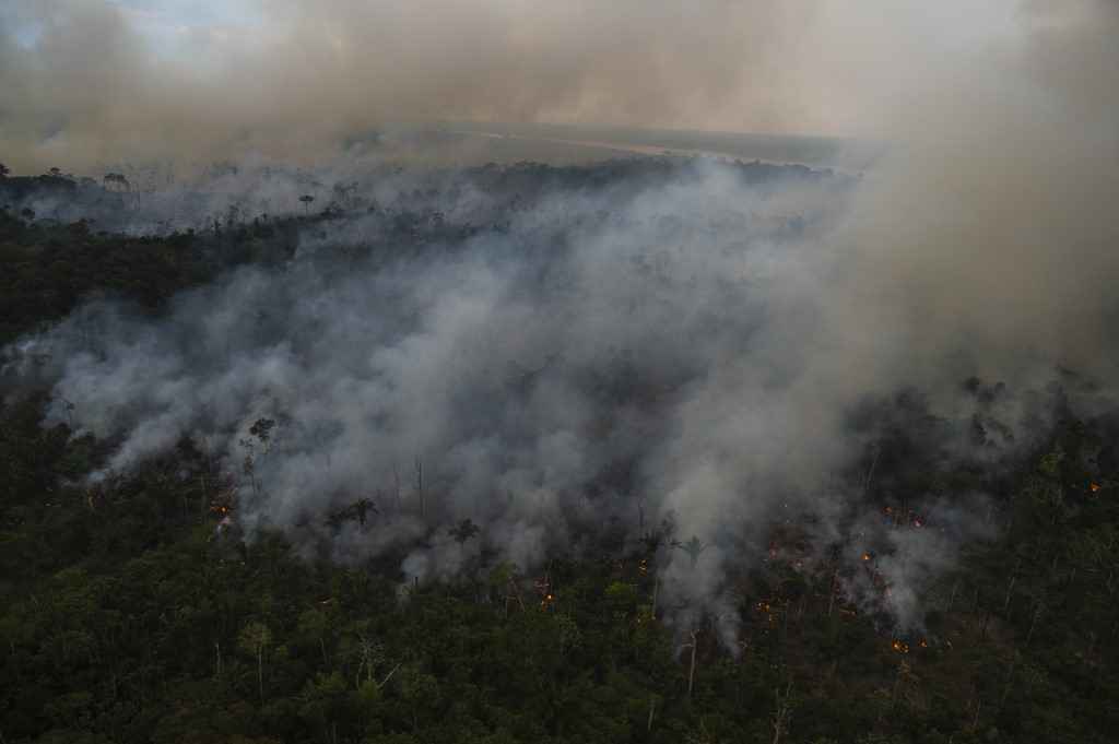 Amazônia Legal registra desmatamento recorde no primeiro semestre - MAURO PIMENTEL / AFP