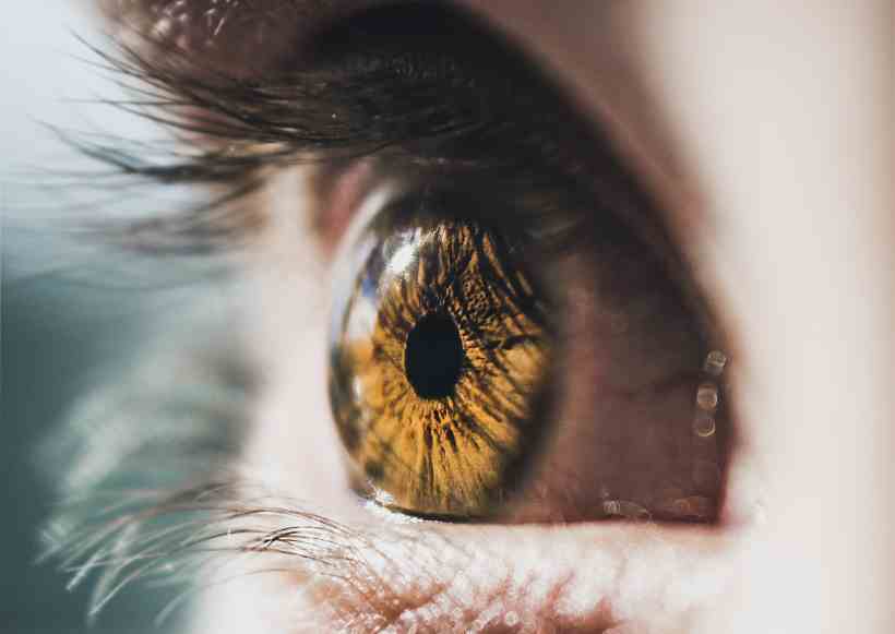 Glaucoma: três em cada dez brasileiros não vão ao oftalmologista - Mark Arron Smith/Pexels