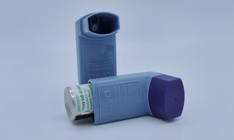 Rinite e asma lideram ranking de doenças respiratórias dos brasileiros -  Jake Parkinson/ Pixabay 