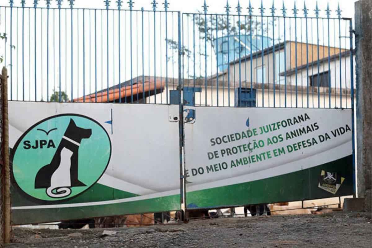 Com R$ 75 mil em dívidas, abrigo com 600 animais teme ficar sem ração - Divulgação