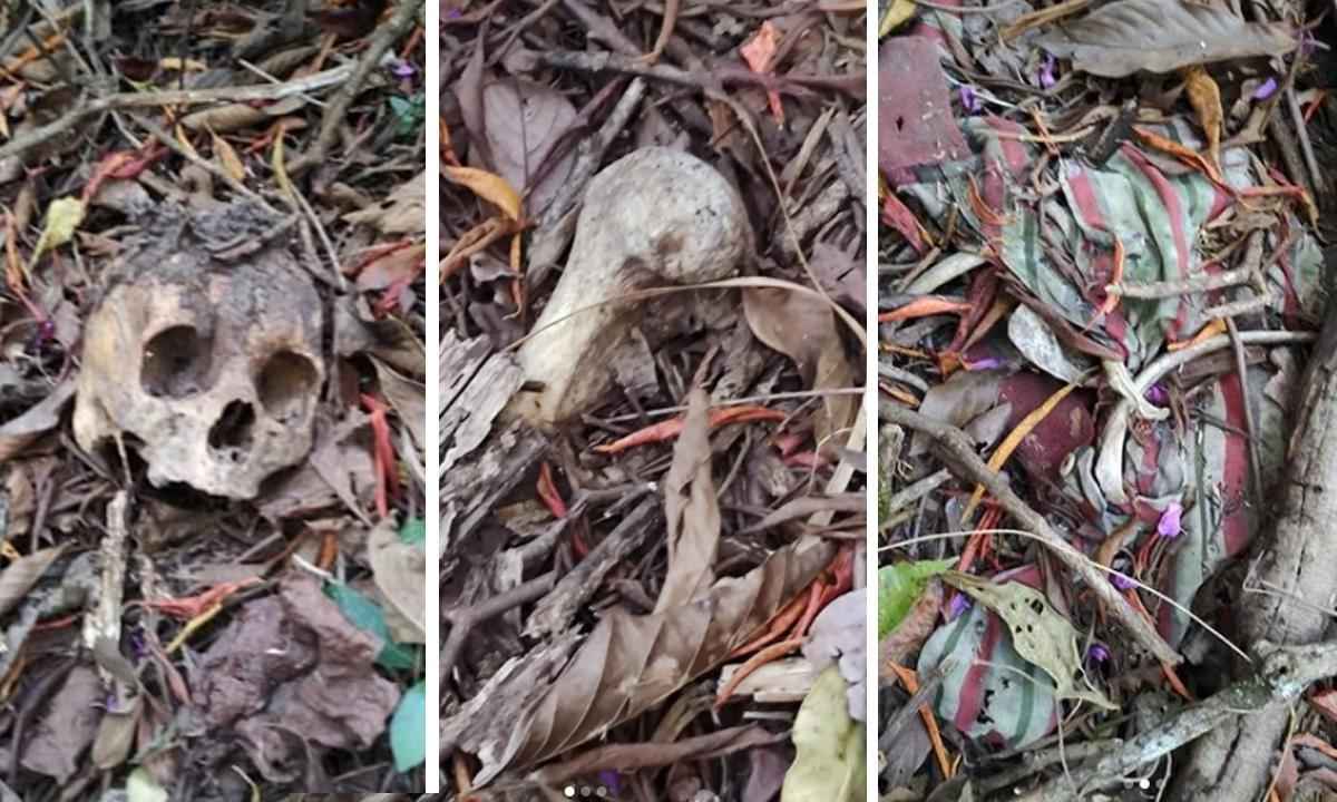 Crânio humano é encontrado em chácara de Uberaba por morador - WhatsApp/Divulgação