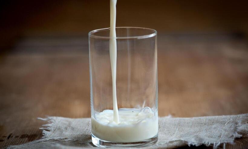 Intolerância à lactose ou alergia à proteína do leite? Veja a diferença -  Pezibear/Pixabay 