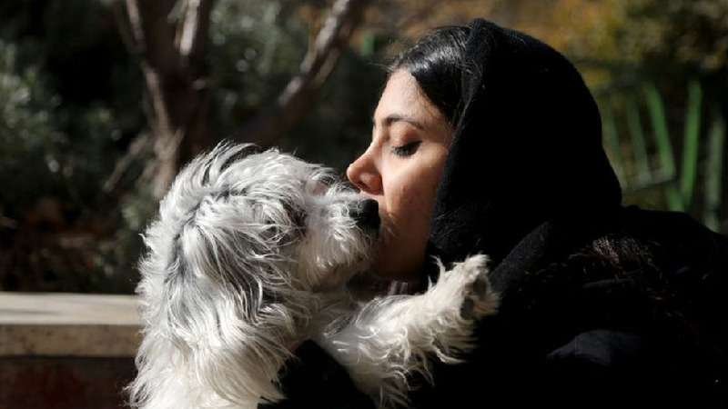 O país onde ter cachorro ou gato pode em breve dar cadeia - Getty Images