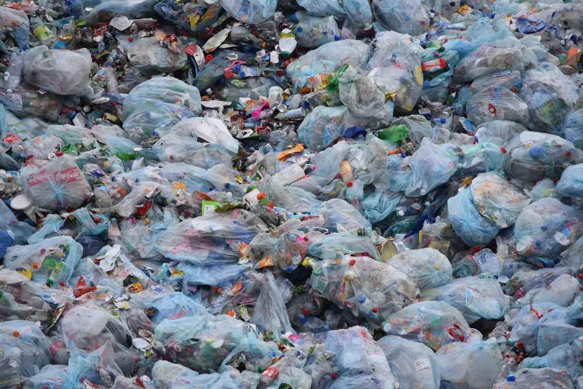 Mundo corporativo se prepara para substituir embalagens de plástico - PxHere