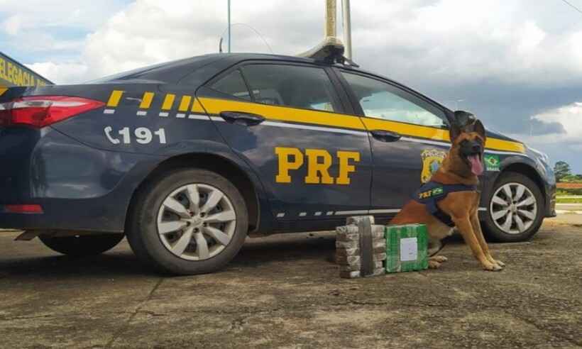 Polícia apreende 20 kg de drogas em lixeira de ônibus - PRF/Reprodução