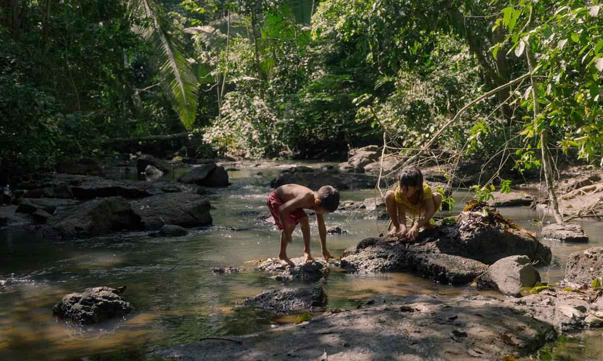 Mostra Ecofalante traz 69 filmes sobre a crise ambiental a 12 espaços de BH - Ecofalante/Divulgação
