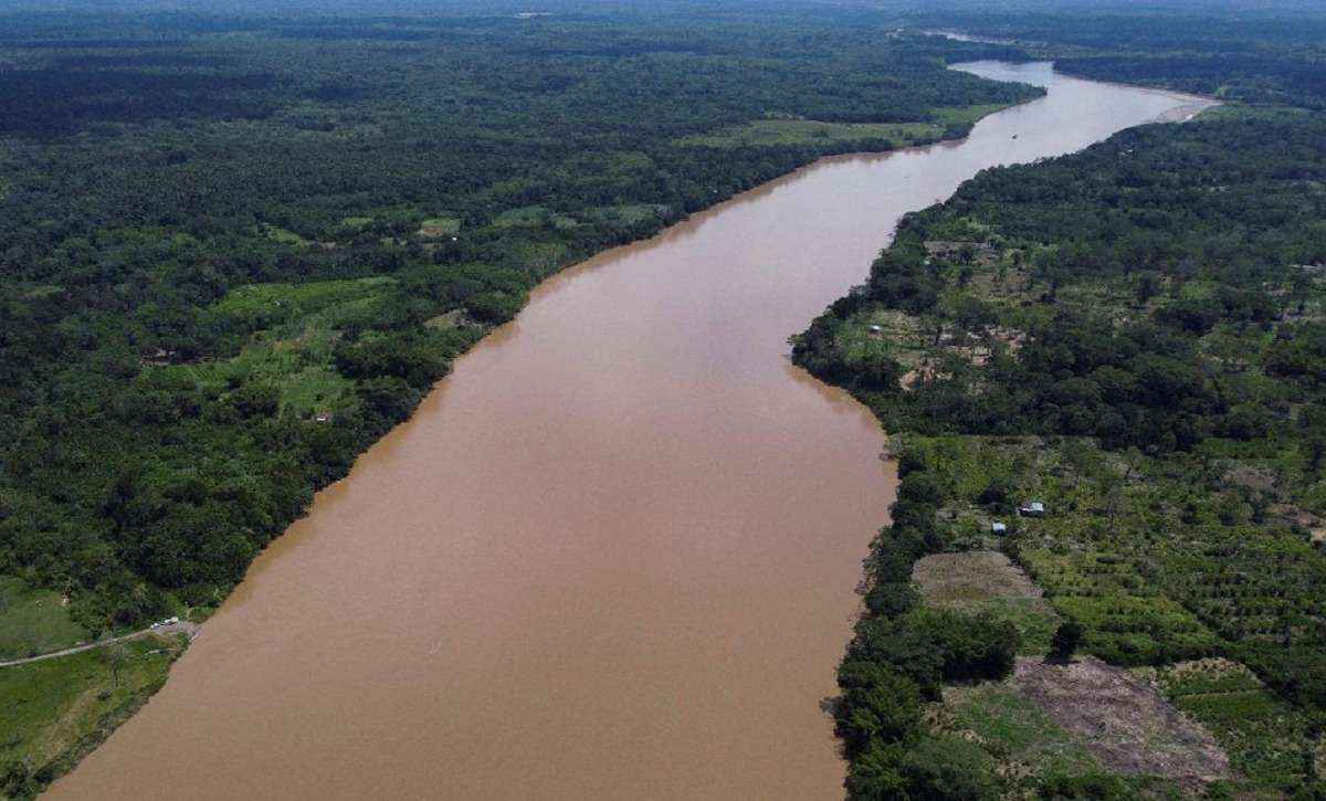 Pesquisa: 81% dos eleitores elegem Amazônia como prioridade para presidente - Luis Robayo/AFP
