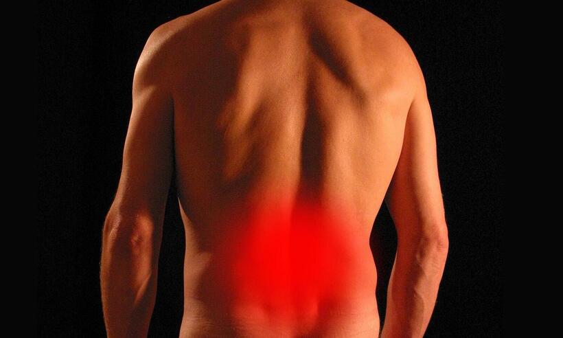 Dor nas costas e fratura óssea são principais sintomas do mieloma múltiplo - Tumisu / Pixabay
