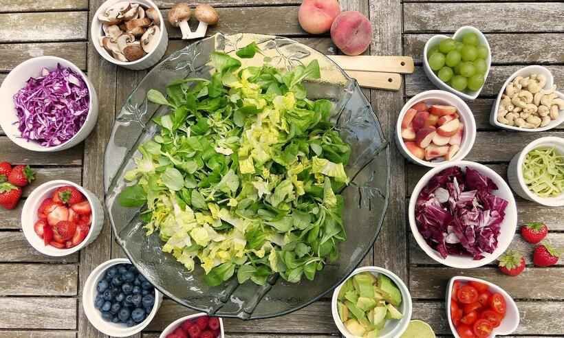 Consumir menos proteínas beneficia o metabolismo, aponta pesquisa -  Silvia/Pixabay 