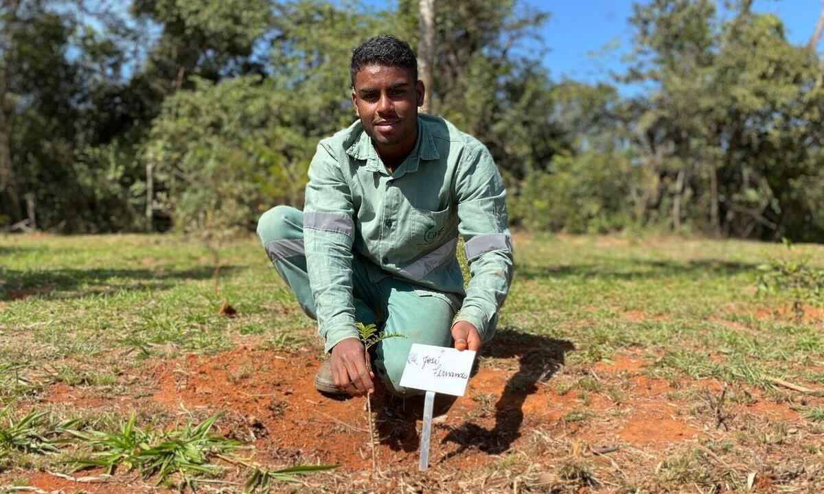 Catando sementes, jovem ajuda a reflorestar área destruída em Brumadinho - Poubel Gomes/Divulgação/Vale