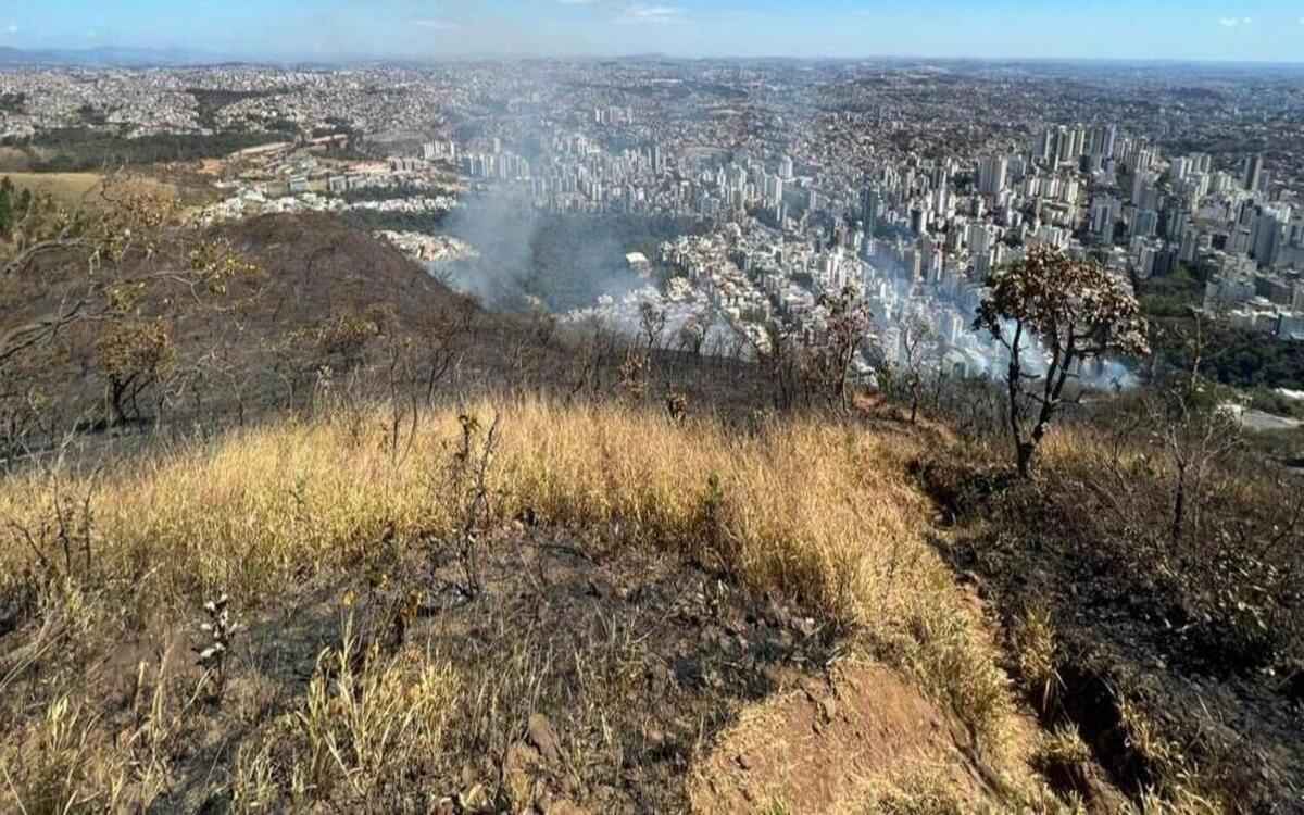 Incêndio consome parte da mata do Cercadinho, no Buritis - CBMMG/Divulgação