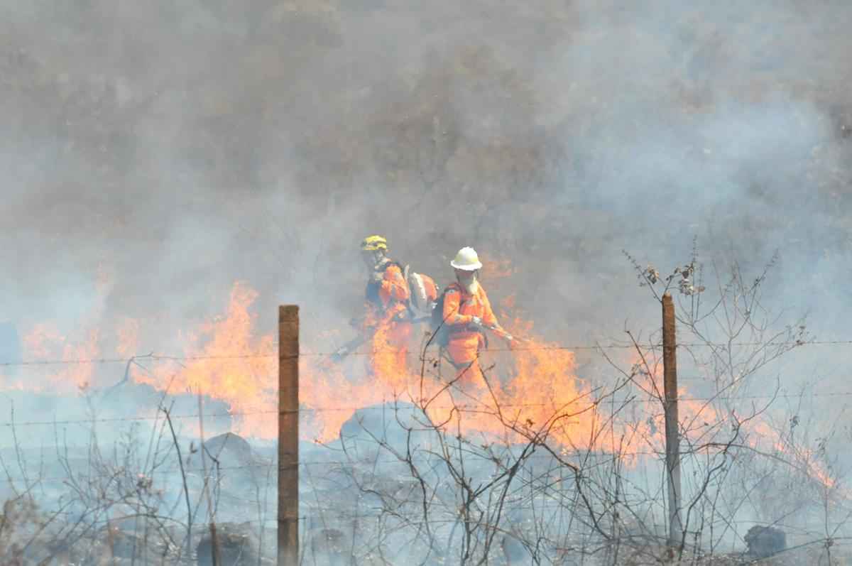 Incêndio criminoso mata animais, queima BR-040 e Serra da Moeda - Gladyston Rodrigues/EM/D.A.Press