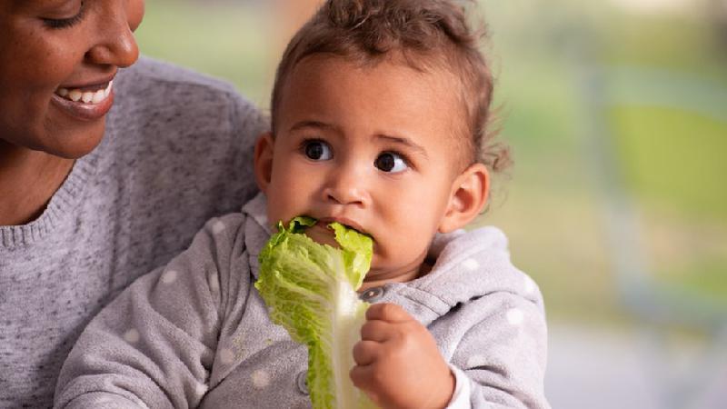 Pediatras no Brasil e nos EUA advertem contra dieta vegana até dois anos - Getty Images