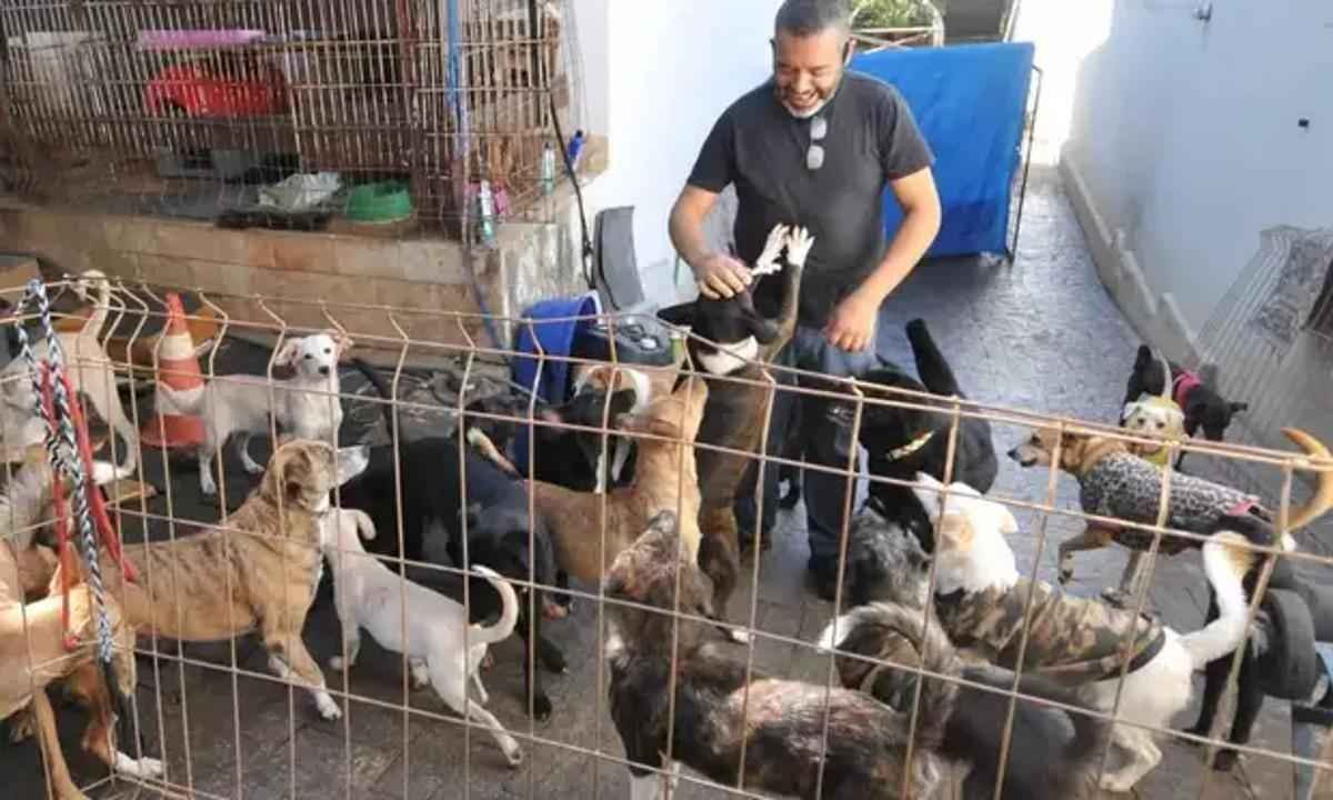 Ativistas alegam queda na adoção de animais em abrigos da Grande BH - Gladyston Rodrigues/EM/D.A Press