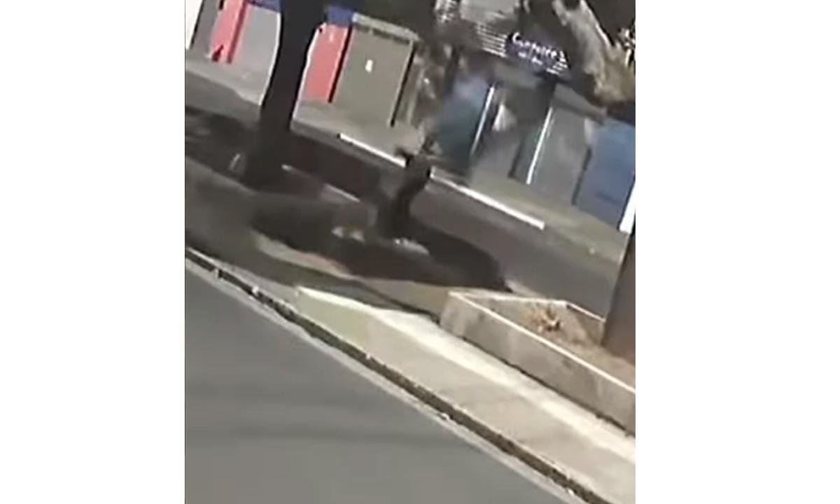Jovem atira ovos em placa de Bolsonaro em sede do PL em Uberaba - Reprodução